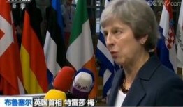 欧盟官员爆料新闻视频,揭秘新闻视频背后的真相